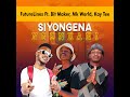 siyongena ngenkani radio edit