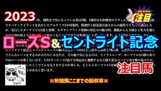 ローズSとセントライト記念の注目馬/秋競馬ここまでの回収率