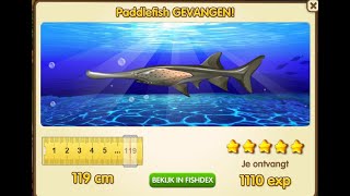 10x PADDLEFISH 5* - FISHAO