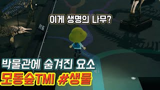 [모동숲]박물관과 생물에 숨겨진 TMI