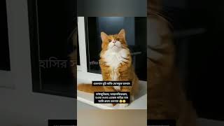 ,নাউজুবিল্লাহ আস্তাগফিরুল্লাহ, #shortvideo #cat #comedyvideos #funny #comedy #funnyvideos