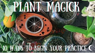 Plant Magick 101 | 10 Ways to Begin Your Green Witch Practice