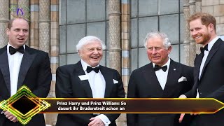 Prinz Harry und Prinz William: So  dauert ihr Bruderstreit schon an