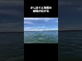 水が汚い海水浴場top10