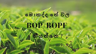 තේ වල BOP/BOPF #science#for#life#tea#dairy#