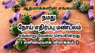 நமது நோய் எதிர்ப்பு மண்டலம் எவ்வாறு வேலை செய்கின்றது ? வைரஸ் கிருமிகளை நமது உடல் எவ்வாறு அழிக்கிறது