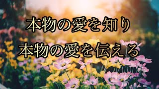 【鍵】バシャール【愛を知り、愛に生き、愛を伝える】