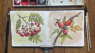 Watercolour paintings | autumn berries | autumn vlog.