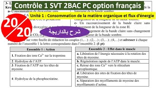 Controle 1 svt 2bac pc consommation de la matière organique et flux d'énergie (شرح بالداريجة)