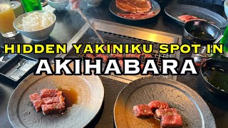 Yakiniku With a View of the Train | Mansei Meat Building in Akihabara | Korean BBQ | Tokyo, Japan