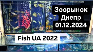 Зоорынок Днепр 01.12.2024 ( рыбки , птички, собачки , котики и другие ) Птичка ( птичий рынок )