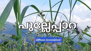 പുല്ലേപ്പാറ|Offbeat destination|enroute to explore|Pullepara view point#viral