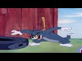 tom and jerry little quacker episode part 2