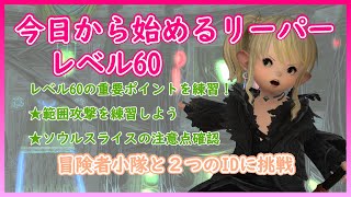 FF14　今日から始めるリーパー【レベル60】