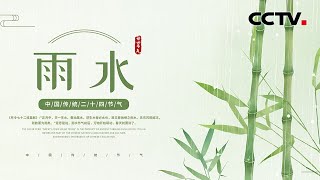 二十四节气之雨水：好雨知时节 当春乃发生 | CCTV科教