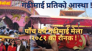 Gadhimai Mela ॥ गढीमाई मेला २०८१ ॥  Gadhimai Festival ॥ Animal Sacrifice Festival #gadhimaifestival