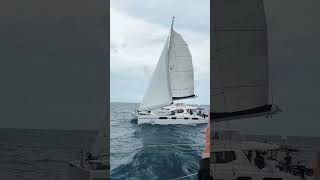 Sailing with friends is the coolest thing ever! 😎⛵️ | 📍Caribbean Sea #sailingfamily #travel #sailing