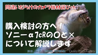 間違いだらけのカメラ機材選びch 「購入検討の方へ！ソニーα7cRの〇と×について解説します」