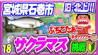 【サクラマスに挑戦018】ぶちこ・キタｧｧｧ～ｗ・旧北上川or追波川で頑張る【長い間♪】