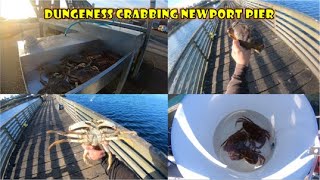 Dungeness Crabbing at Newport Pier in Oregon! I Big Dungeness \u0026 Red Rock Crab! I Yaquina Bay!