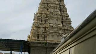 Kaleeswarar temple, seetancherry - shivamayam week 265