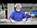 CPLA Compostable Cutlery production process - suyang Plastic Cutlery