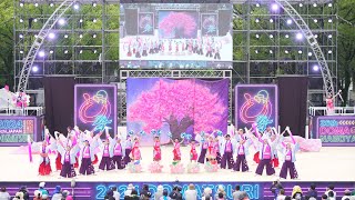 [4K] AAA瑞穂　にっぽんど真ん中祭り 2024 どまつり 日曜日