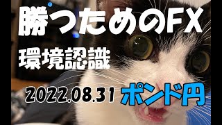 【環境認識】2022年8月31日 ポンド円GBPJPY FXトレード