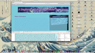 Firebug Tutorial