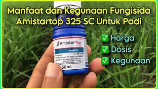 Manfaat Dan Kegunaan Fungisida AmistarTop 325 SC Untuk Tanaman Padi