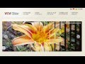 Pure CSS Image Slider: No Javascript Required!