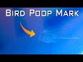 How to remove Bird Poop Paint Mark safely/Removing bird poop mark with heat gun (less than a minute)