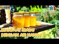 Fakta Menarik - Manfaat Mengonsumsi Madu dengan Air Hangat - Baik untuk Tubuh