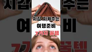 2만원안에 여행 준비 끝내는 꿀템 7가지 모음 #shorts  #다이소