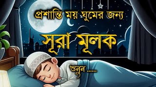 বিশ্বের সবচেয়ে সুন্দর তেলাওয়াত সূরা মুলক( سورة الملك ) By Shamsul haque