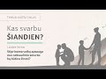 Stiprinama vaikų apsauga nuo seksualinio smurto: ką būtina žinoti?