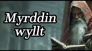 THE REAL MERLIN: the chronicle of Myrddin Wyllt