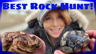 Dream Rock Hunt | Petrified Redwood Tree #rockhounding