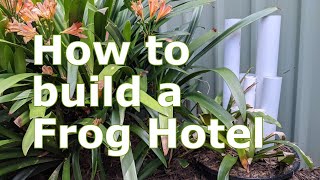 What's in your Backyard: Frog Hotel