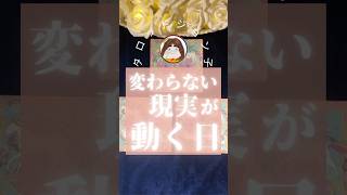 変わらない現実が動き出す時がもう時期くる‼️見た人だけが受け取れる❗️#占い #言霊 #タロット #スピリチュアルタロット #スピリチュアルメッセージ #守護霊様