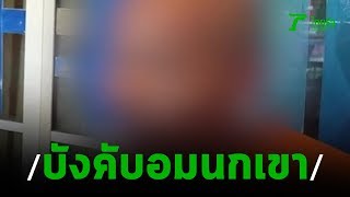 แจ้งจับเจ้าอาวาสบังคับเณรอมนกเขา | 15-10-62 | ไทยรัฐนิวส์โชว์