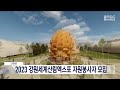 단신 2023 강원세계산림엑스포 자원봉사자 모집 20230213