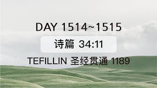 Tefillin [Day 1514-1515]  诗篇 34:11 宣布圣经 50次