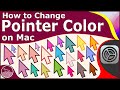 How to Change Pointer Color on Mac [macOS Monterey] - No Additional Software Required !