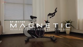 Sunny Health & Fitness SF-B1709 Belt Drive Magnetic Indoor Cycling Bike