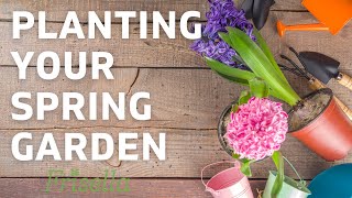 Planting a Spring Garden | Frisella Nursery