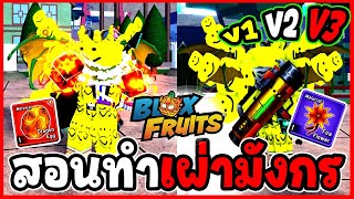 สอนทำเผ่ามังกร V1.V2.V3. ฉบับเข้าใจง่าย!! - 🌊Blox Fruit