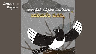 విడదీయలేని మనస్సు | దేవుని సంఘము, అన్ సాంగ్ హోంగ్, తల్లియైన దేవుడు