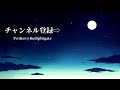 【スプリットゲート】日本トップランカーの詳細設定一覧！