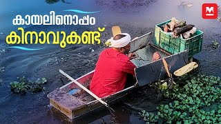 വെള്ളായണി കായലിന്റെ ജീവൻ കാക്കുന്ന ബിനു | Vellayani Backwater Protect | Life | Save Environment